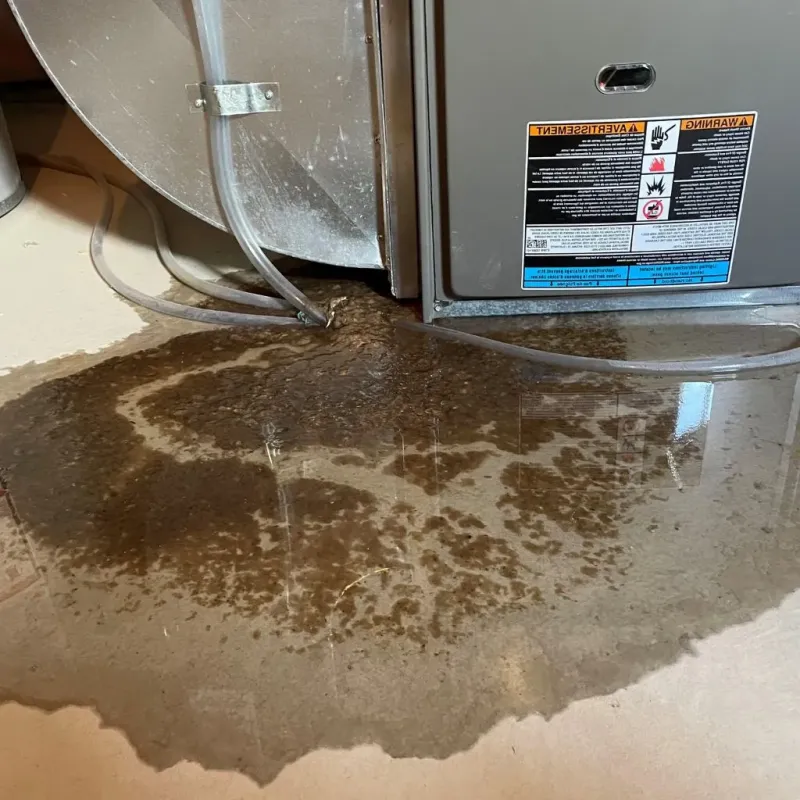 Pipe Burst and Leak Restoration in Sanbornville, NH